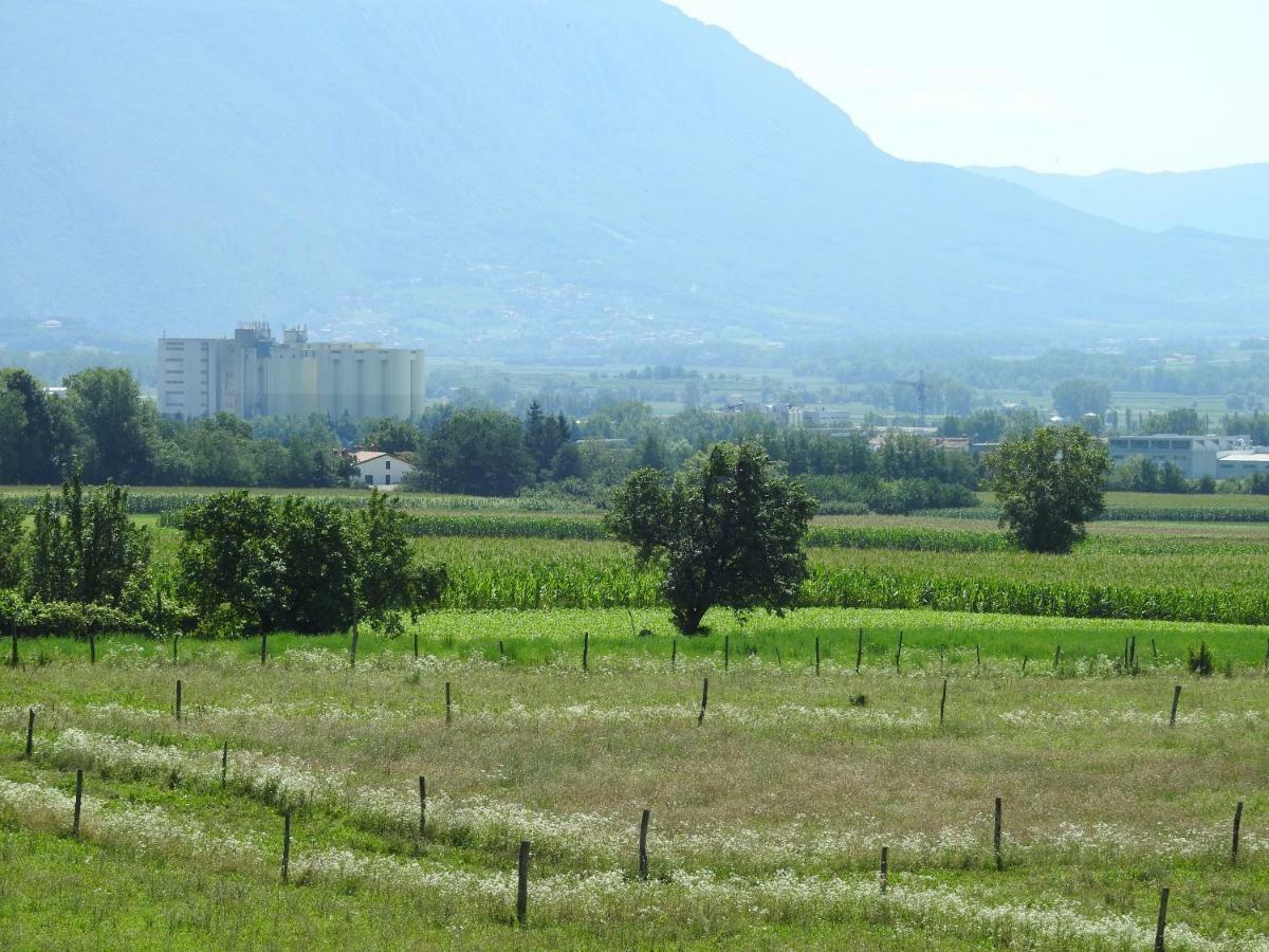 Ferienwohnung Turisticna Kmetija Pri Rebkovih Ajdovščina Exterior foto
